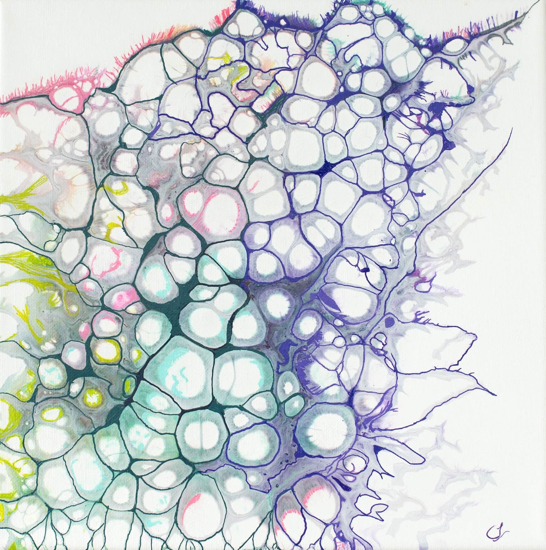 Amoeba Art Print Image